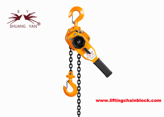 3 Ton Single-Chain-Fall Lever Chain Hoist avec des crochets de pivot de frein de sécurité et de 360 degrés