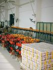 Norme internationale de levier de 5 tonnes de grue à chaînes taille manuelle de poulie de mini
