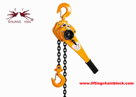 Treuil à chaîne à levier de vitesse de levage manuel avec crochets supérieurs et inférieurs et couleur de chaîne polie